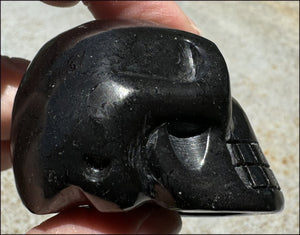 ~Rare!~ SHUNGITE Crystal Skull - Vitality, Grounding - with Synergy 5+ yrs