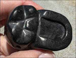 ~Rare!~ SHUNGITE Crystal Skull - Vitality, Grounding - with Synergy 5+ yrs