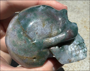 Natural Bloodstone + Moss Agate Mix CRYSTAL SKULL - Calming, Boost Self-Esteem