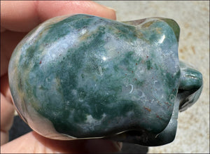 Natural Bloodstone + Moss Agate Mix CRYSTAL SKULL - Calming, Boost Self-Esteem