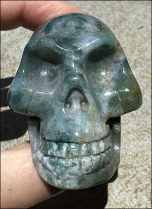 Natural Bloodstone + Moss Agate Mix CRYSTAL SKULL - Calming, Boost Self-Esteem