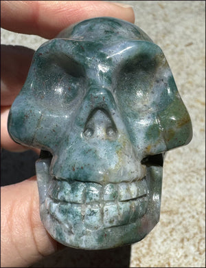 Natural Bloodstone + Moss Agate Mix CRYSTAL SKULL - Calming, Boost Self-Esteem