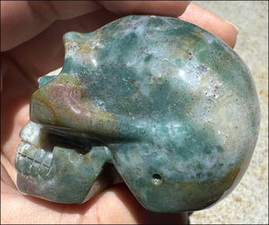 Natural Bloodstone + Moss Agate Mix CRYSTAL SKULL - Calming, Boost Self-Esteem