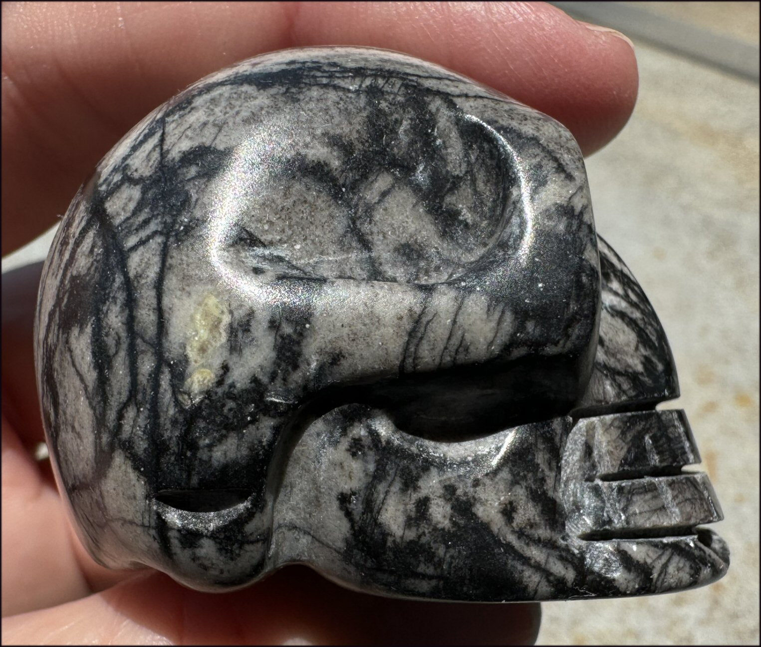 Spiderweb Jasper CRYSTAL SKULL - Insight, Attunement - with Synergy 10+ yrs