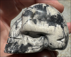 Spiderweb Jasper CRYSTAL SKULL - Insight, Attunement - with Synergy 10+ yrs