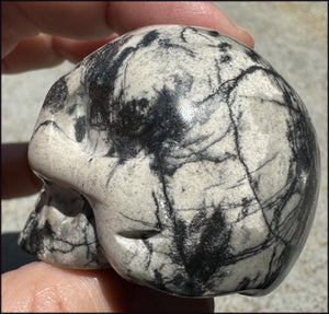 Spiderweb Jasper CRYSTAL SKULL - Insight, Attunement - with Synergy 10+ yrs
