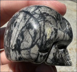 Spiderweb Jasper CRYSTAL SKULL - Insight, Attunement - with Synergy 10+ yrs
