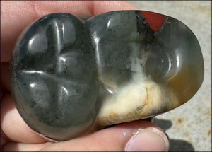 Hummingbird Agate CRYSTAL SKULL - Clarity, Self-Healing