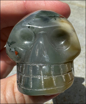 Hummingbird Agate CRYSTAL SKULL - Clarity, Self-Healing