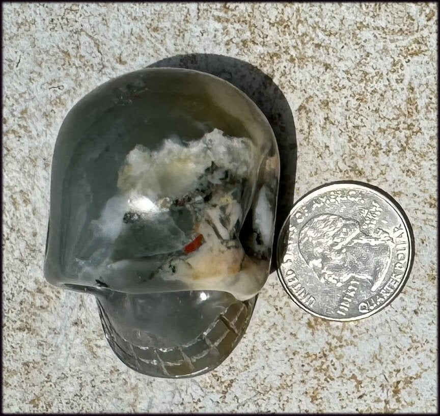 Hummingbird Agate CRYSTAL SKULL - Clarity, Self-Healing
