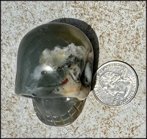 Hummingbird Agate CRYSTAL SKULL - Clarity, Self-Healing