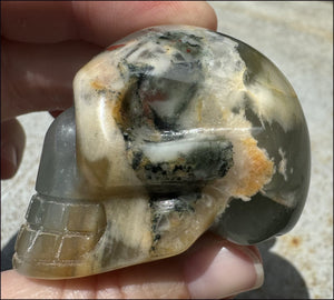 Hummingbird Agate CRYSTAL SKULL - Clarity, Self-Healing