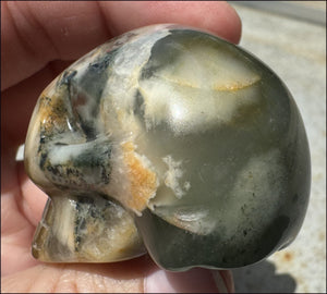 Hummingbird Agate CRYSTAL SKULL - Clarity, Self-Healing