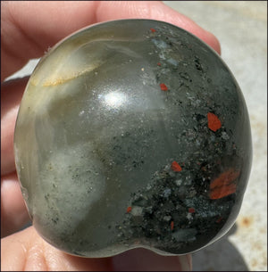 Hummingbird Agate CRYSTAL SKULL - Clarity, Self-Healing