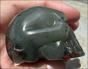 Hummingbird Agate CRYSTAL SKULL - Clarity, Self-Healing