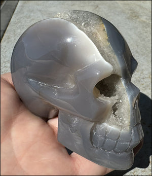XL Agate GEODE Crystal Skull with Fantastic large Druzy Lined VUG!