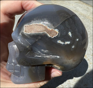 XL Agate GEODE Crystal Skull with Fantastic large Druzy Lined VUG!