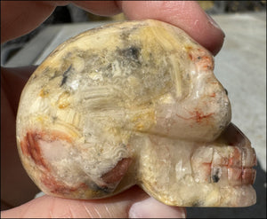 Crazy Lace Agate CRYSTAL SKULL - Laughter, Balance