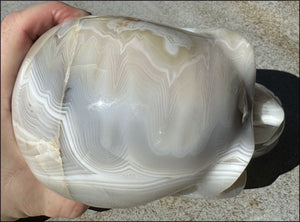 LifeSize Madagascar AGATE Crystal Skull with Fantastic Banding, Bi-Colored Dendritic inclusions