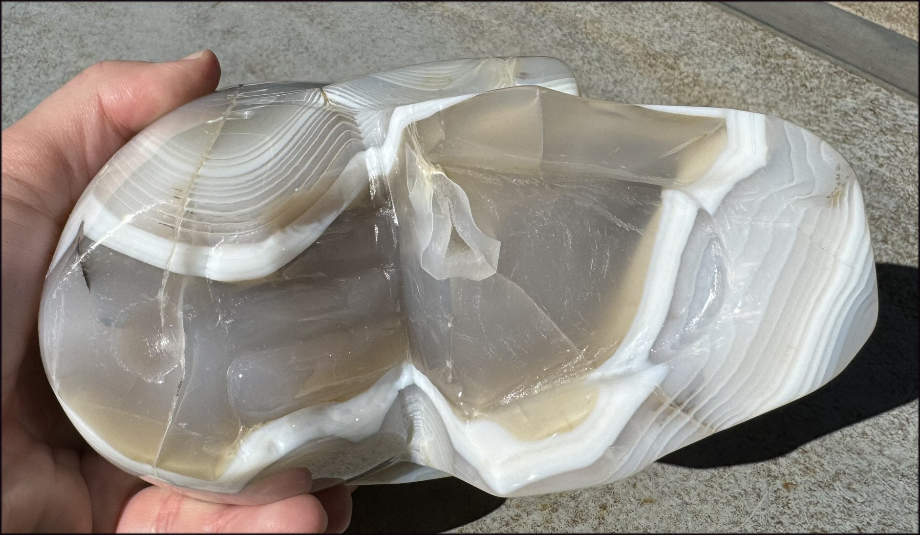 LifeSize Madagascar AGATE Crystal Skull with Fantastic Banding, Bi-Colored Dendritic inclusions