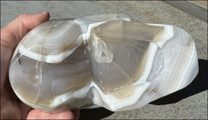 LifeSize Madagascar AGATE Crystal Skull with Fantastic Banding, Bi-Colored Dendritic inclusions