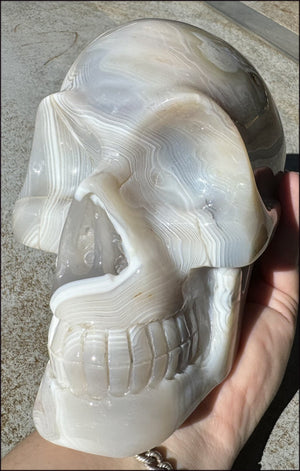 LifeSize Madagascar AGATE Crystal Skull with Fantastic Banding, Bi-Colored Dendritic inclusions