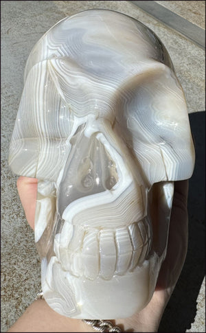 LifeSize Madagascar AGATE Crystal Skull with Fantastic Banding, Bi-Colored Dendritic inclusions