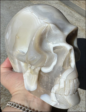LifeSize Madagascar AGATE Crystal Skull with Fantastic Banding, Bi-Colored Dendritic inclusions