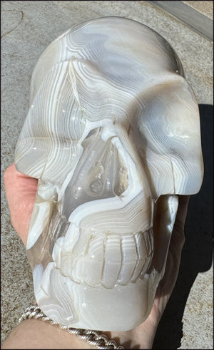 LifeSize Madagascar AGATE Crystal Skull with Fantastic Banding, Bi-Colored Dendritic inclusions