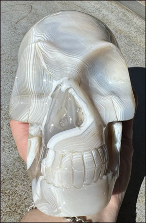 LifeSize Madagascar AGATE Crystal Skull with Fantastic Banding, Bi-Colored Dendritic inclusions