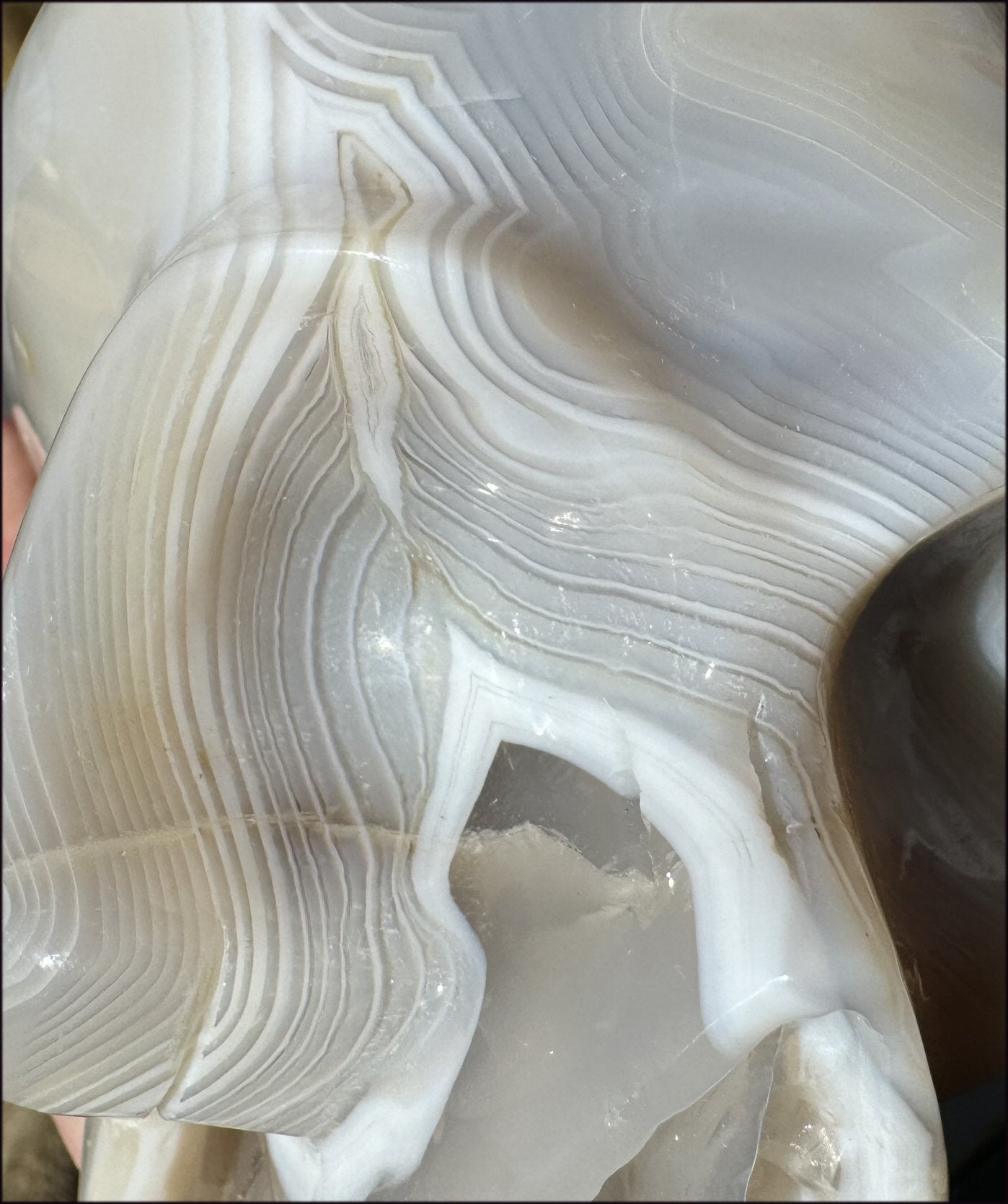 LifeSize Madagascar AGATE Crystal Skull with Fantastic Banding, Bi-Colored Dendritic inclusions