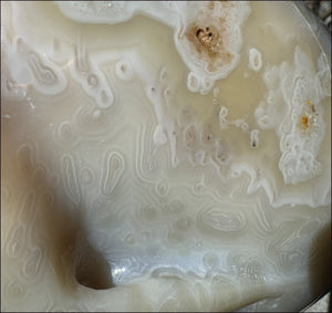 LifeSize Madagascar AGATE Crystal Skull with Fantastic Banding, Bi-Colored Dendritic inclusions