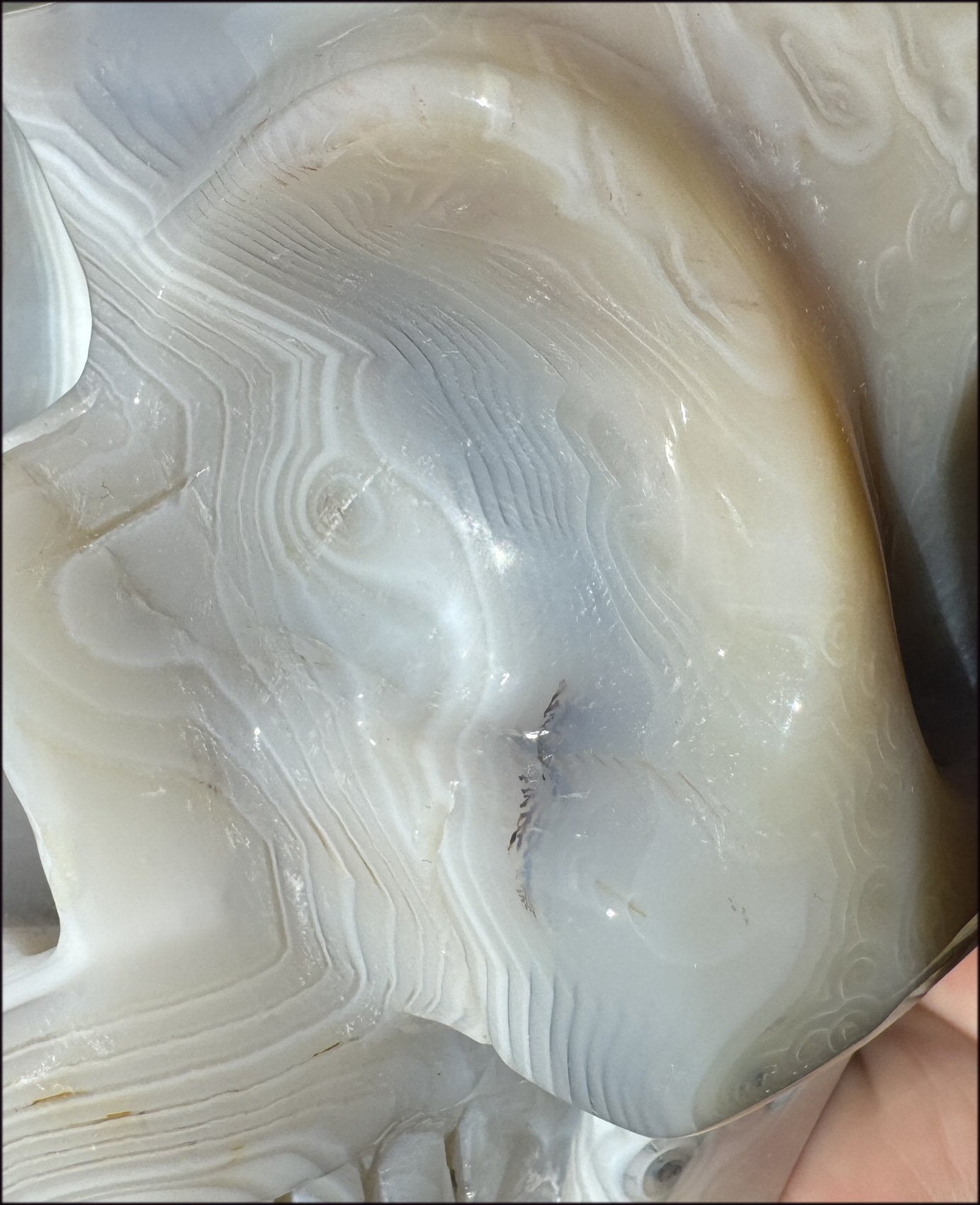 LifeSize Madagascar AGATE Crystal Skull with Fantastic Banding, Bi-Colored Dendritic inclusions