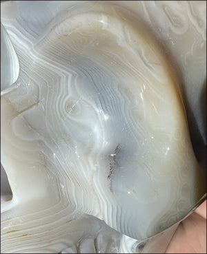 LifeSize Madagascar AGATE Crystal Skull with Fantastic Banding, Bi-Colored Dendritic inclusions