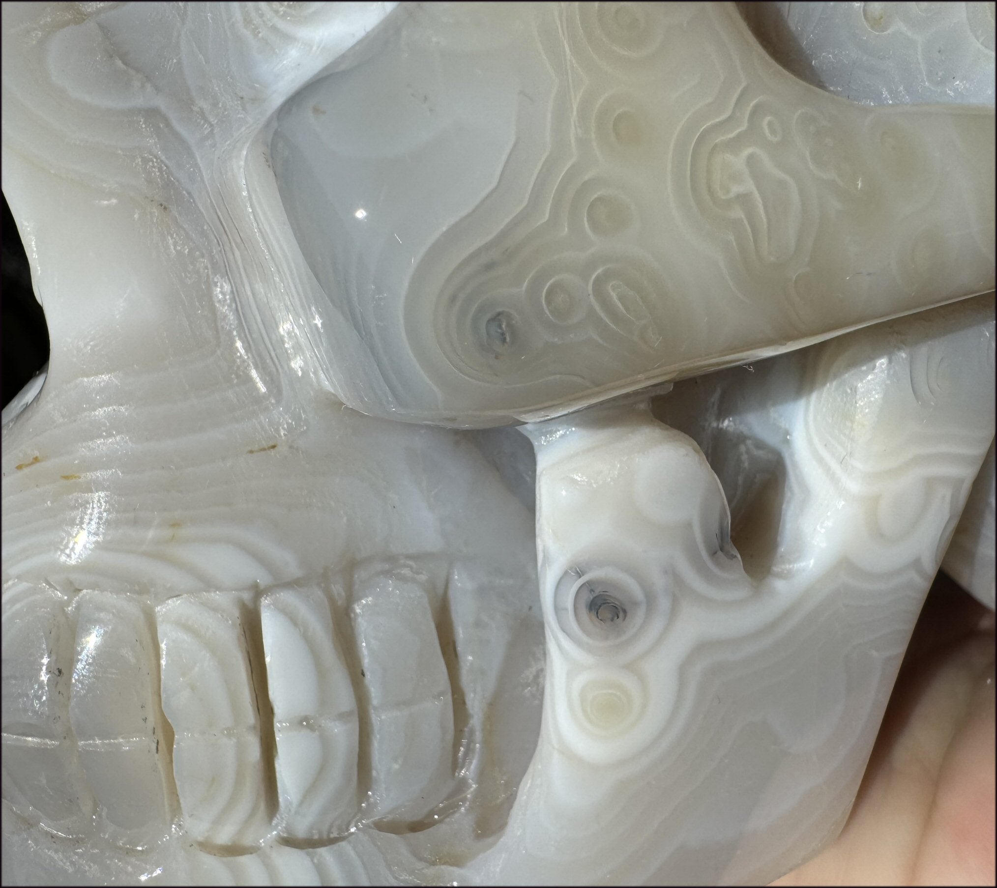 LifeSize Madagascar AGATE Crystal Skull with Fantastic Banding, Bi-Colored Dendritic inclusions