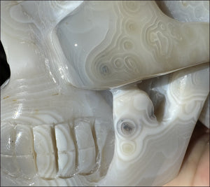 LifeSize Madagascar AGATE Crystal Skull with Fantastic Banding, Bi-Colored Dendritic inclusions