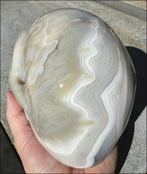 LifeSize Madagascar AGATE Crystal Skull with Fantastic Banding, Bi-Colored Dendritic inclusions