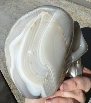 LifeSize Madagascar AGATE Crystal Skull with Fantastic Banding, Bi-Colored Dendritic inclusions