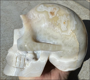 LifeSize Madagascar AGATE Crystal Skull with Fantastic Banding, Bi-Colored Dendritic inclusions