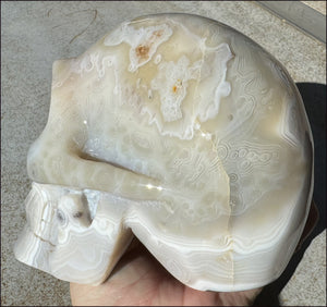 LifeSize Madagascar AGATE Crystal Skull with Fantastic Banding, Bi-Colored Dendritic inclusions