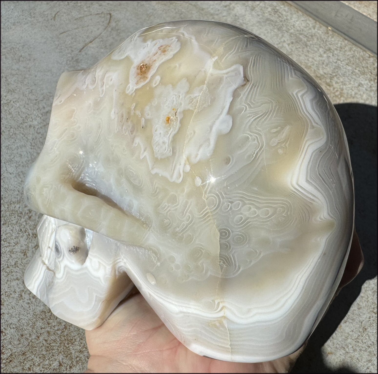 LifeSize Madagascar AGATE Crystal Skull with Fantastic Banding, Bi-Colored Dendritic inclusions