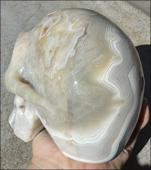LifeSize Madagascar AGATE Crystal Skull with Fantastic Banding, Bi-Colored Dendritic inclusions