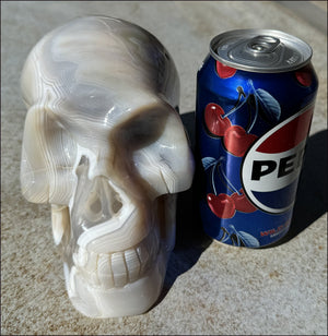 LifeSize Madagascar AGATE Crystal Skull with Fantastic Banding, Bi-Colored Dendritic inclusions