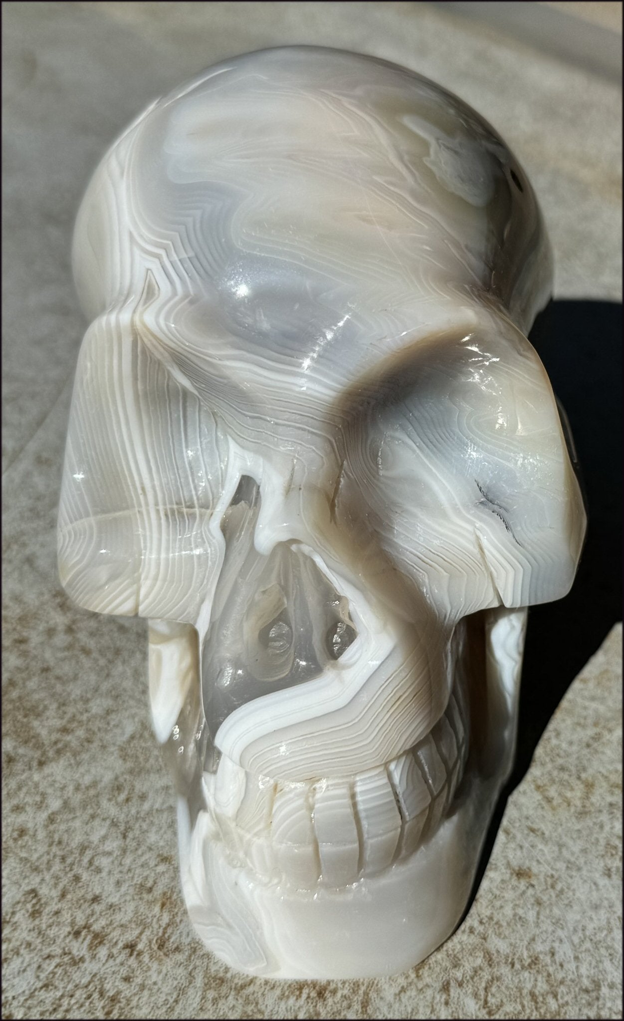 LifeSize Madagascar AGATE Crystal Skull with Fantastic Banding, Bi-Colored Dendritic inclusions