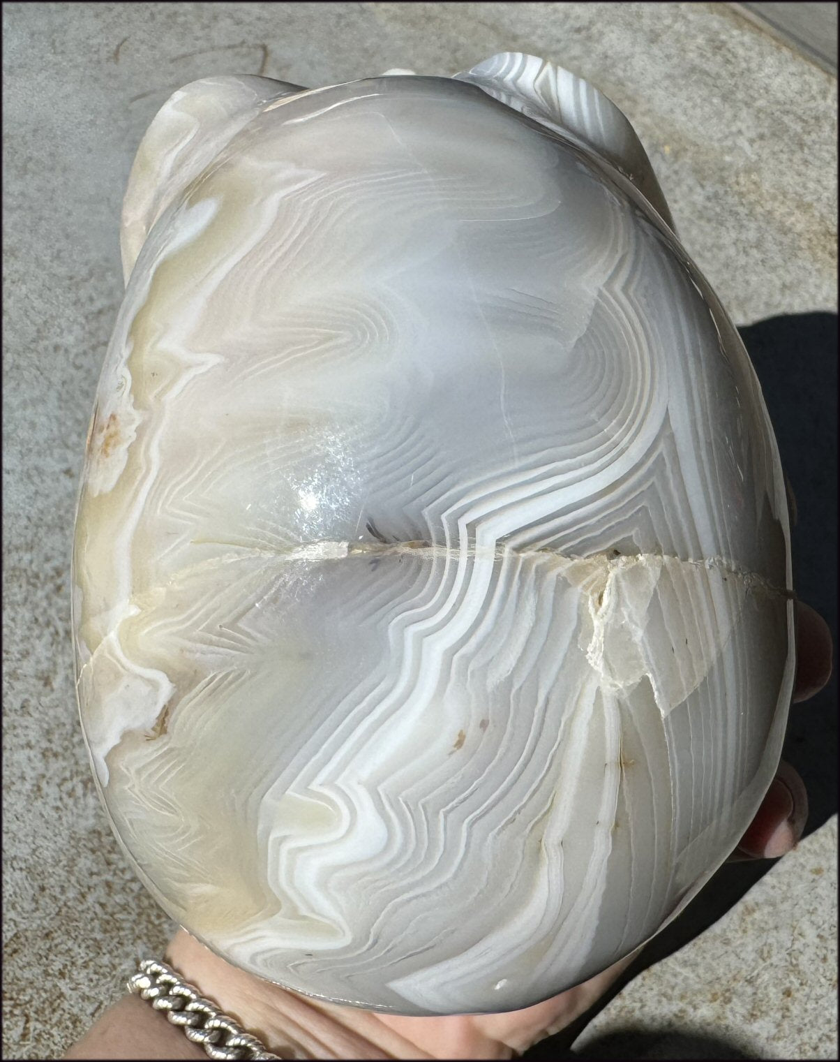 LifeSize Madagascar AGATE Crystal Skull with Fantastic Banding, Bi-Colored Dendritic inclusions