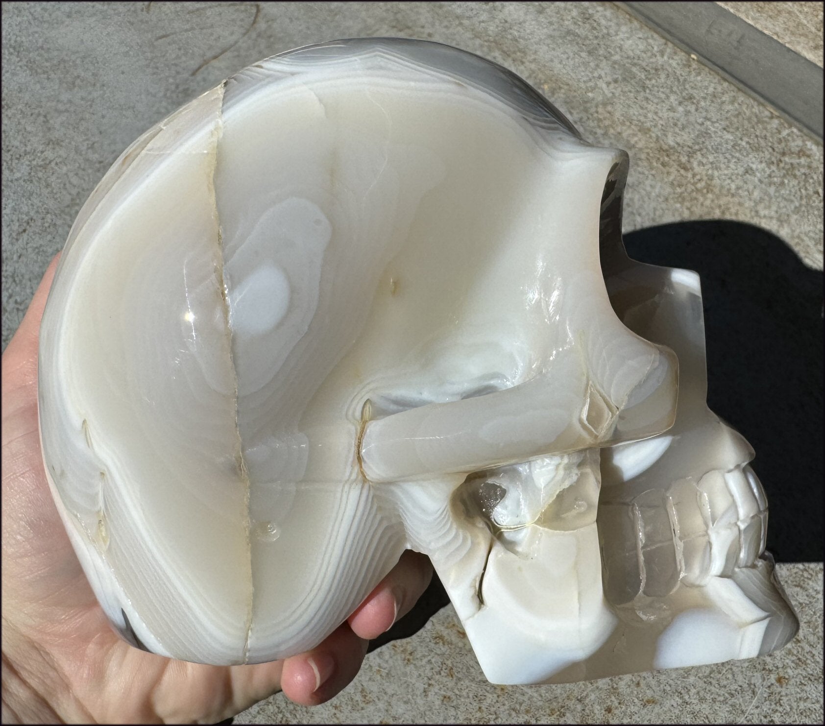 LifeSize Madagascar AGATE Crystal Skull with Fantastic Banding, Bi-Colored Dendritic inclusions