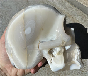 LifeSize Madagascar AGATE Crystal Skull with Fantastic Banding, Bi-Colored Dendritic inclusions