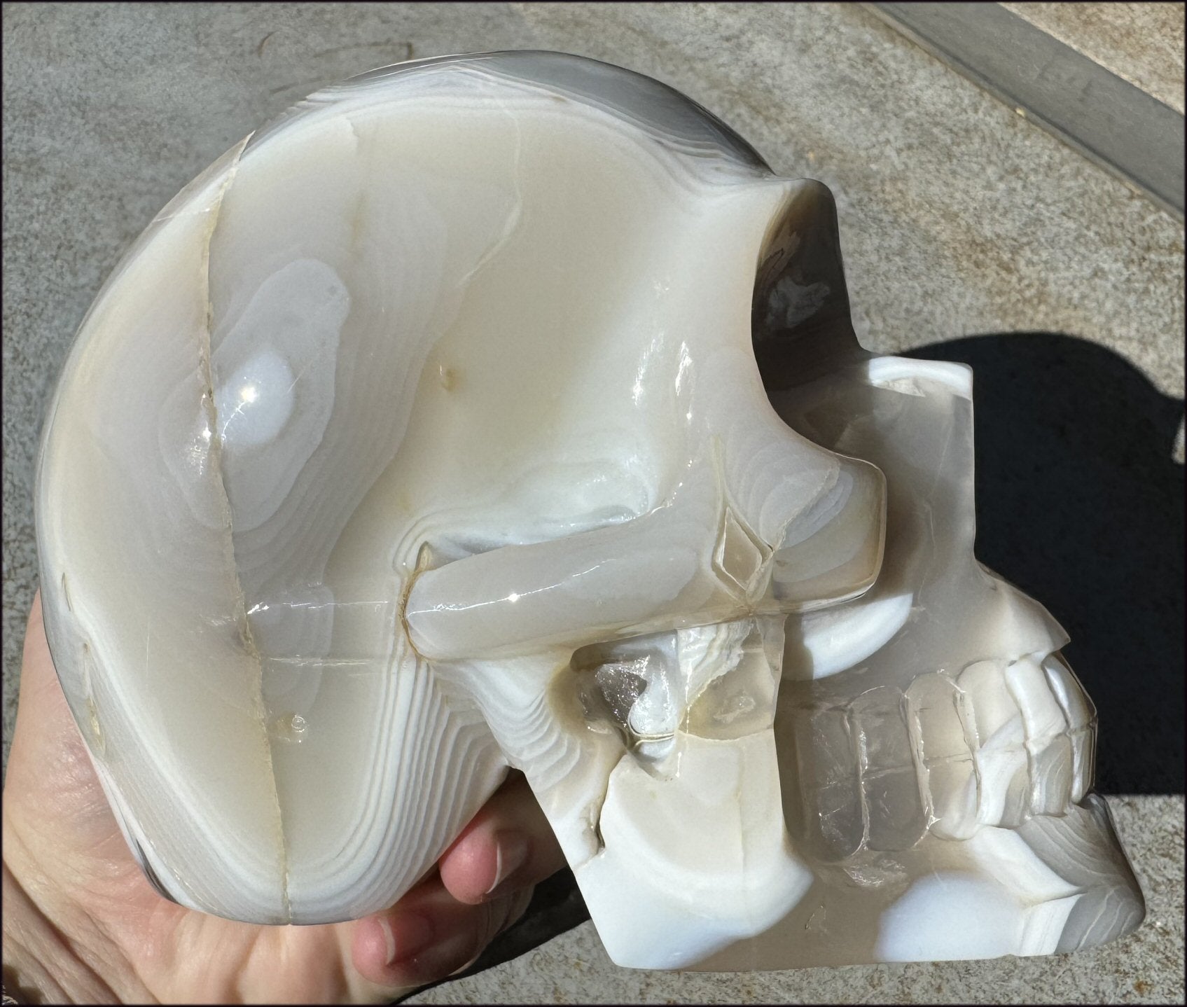 LifeSize Madagascar AGATE Crystal Skull with Fantastic Banding, Bi-Colored Dendritic inclusions