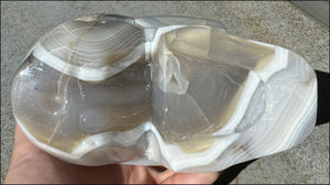 LifeSize Madagascar AGATE Crystal Skull with Fantastic Banding, Bi-Colored Dendritic inclusions