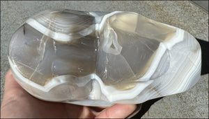 LifeSize Madagascar AGATE Crystal Skull with Fantastic Banding, Bi-Colored Dendritic inclusions
